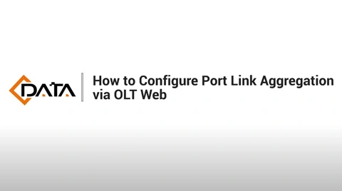 Configure Port Link Aggregation | C-Data OLT Web Tutorial